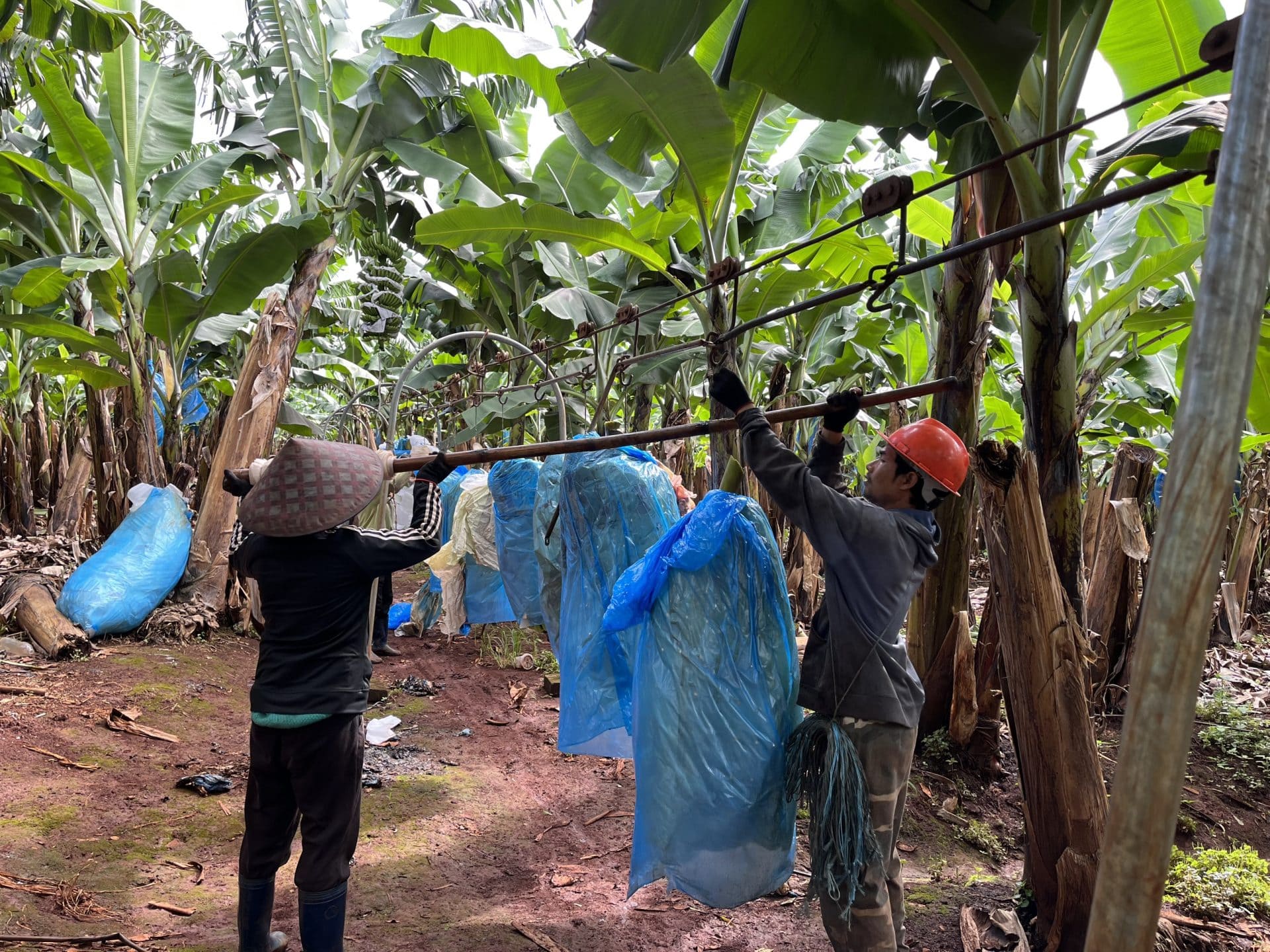 z4652466246118_9e3924bf038fad2a994ab703d3b8f086-scaled (1)