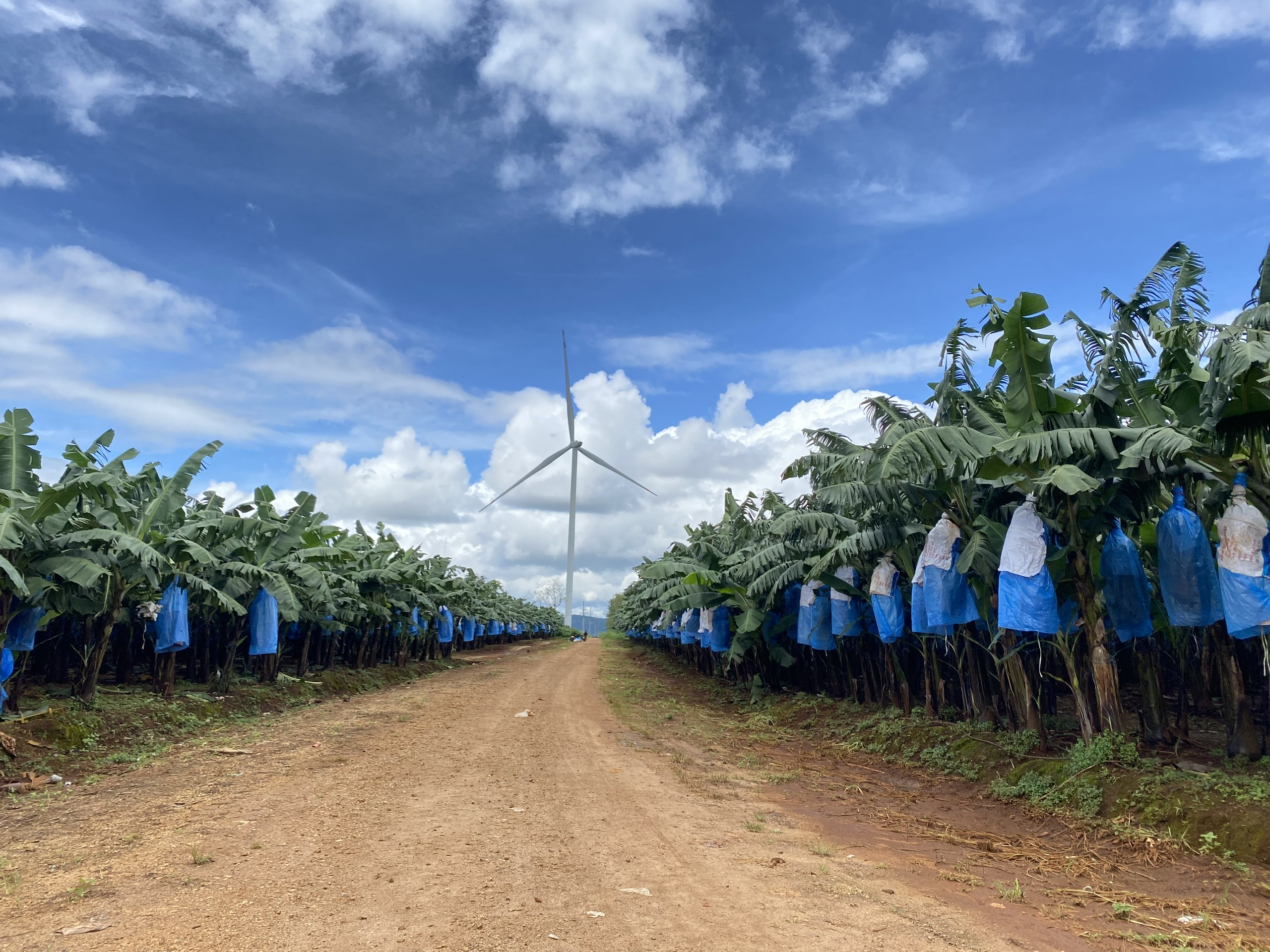 z7105229940155_3e10e6cd8580d5eb75b938c7f649f2b2